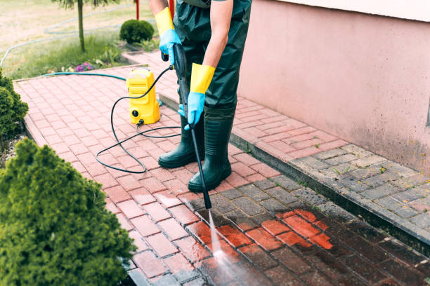 Best Building Exterior Washing  in Blue Grass, IA