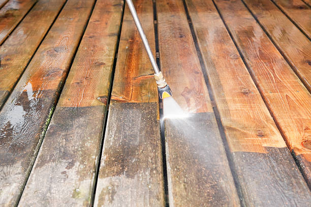 Best Building Exterior Washing  in Blue Grass, IA